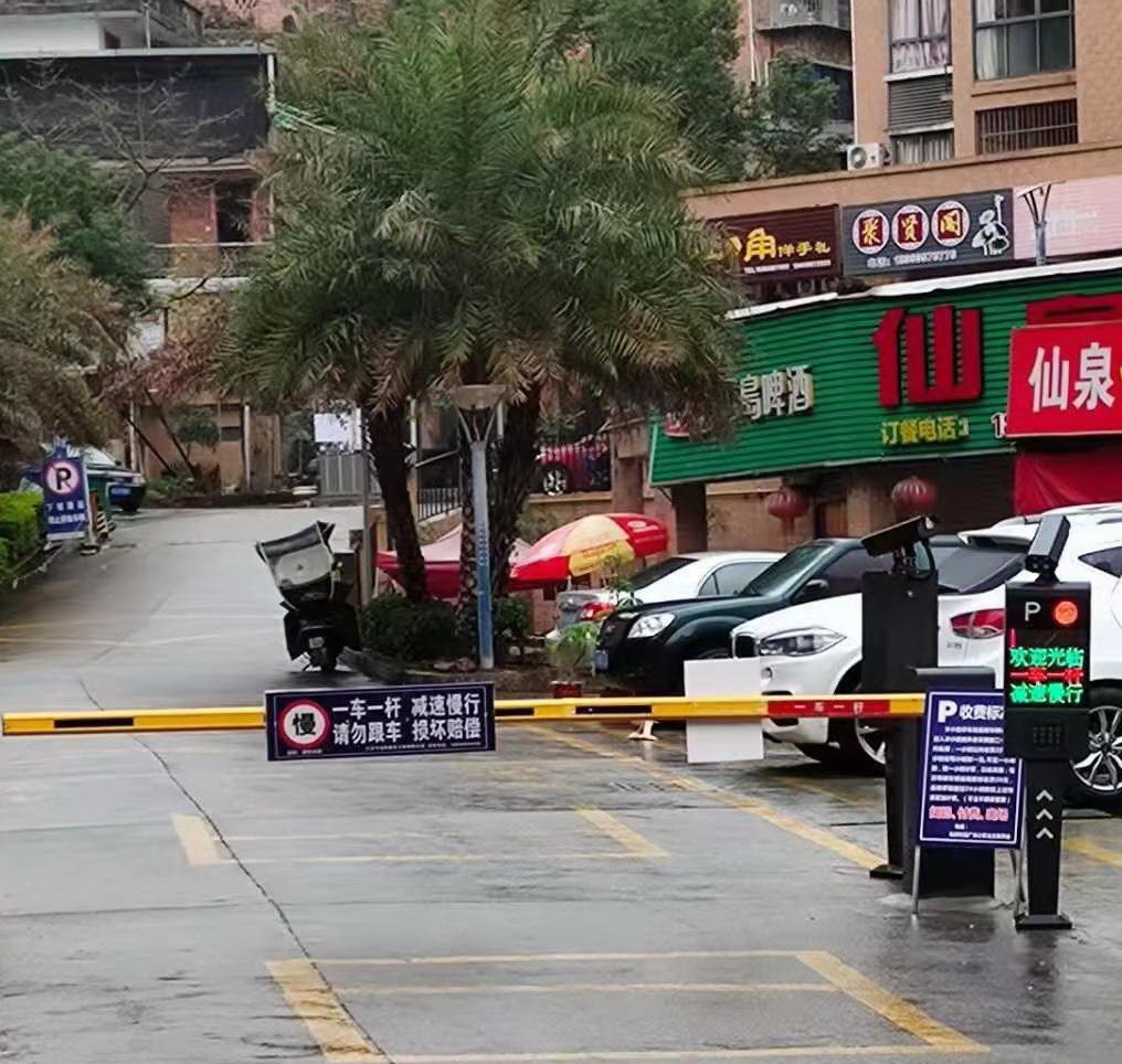 福建小區停車場車牌識別系統